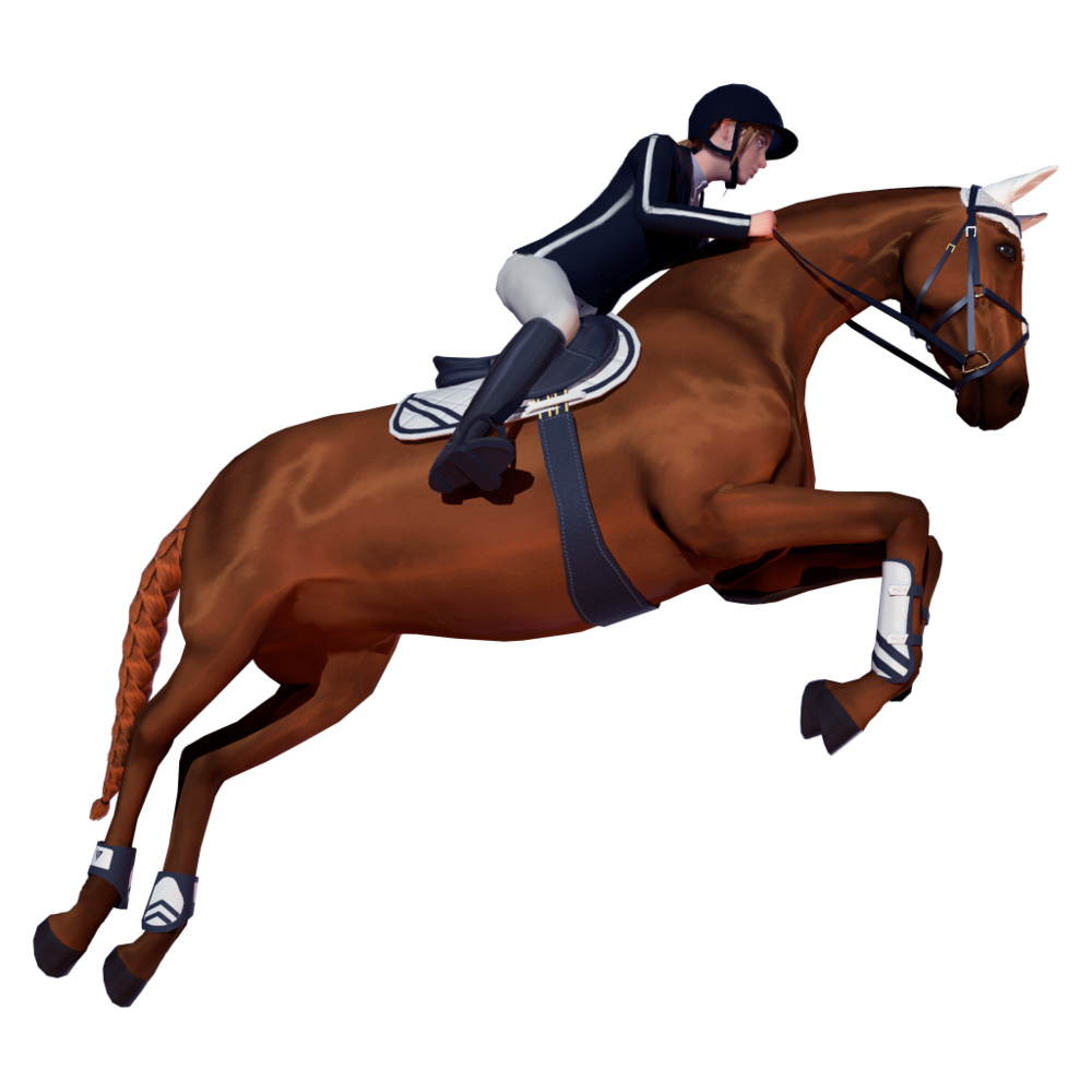 Jogos de animais Jogue jogos de animais gratis no