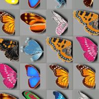 Butterfly Kyodai