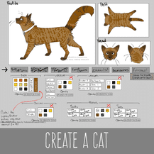 Create A Cat